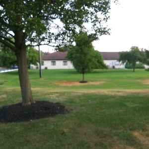 Meet your Posher, Barry